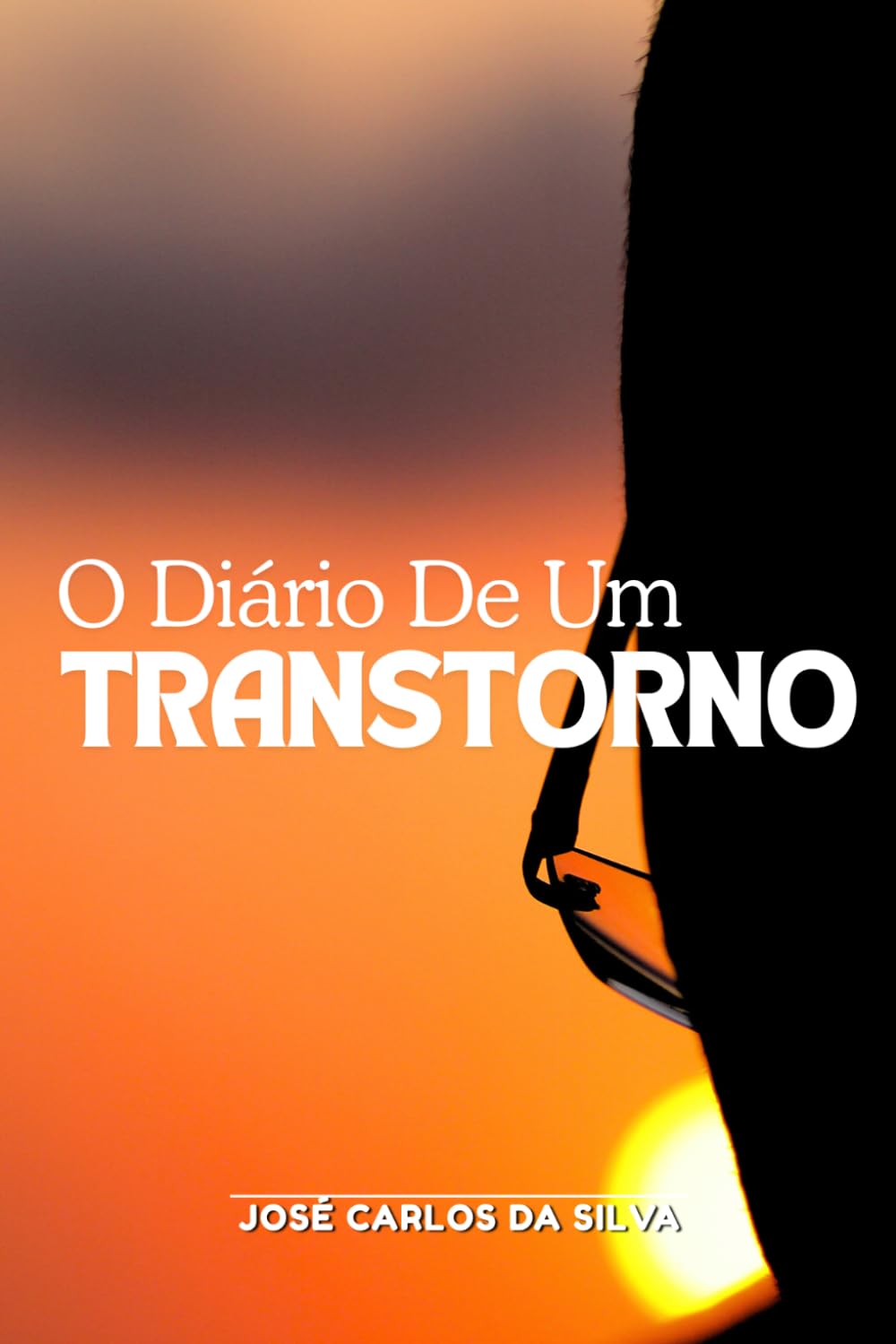 O DIÁRIO DE UM TRANSTORNO