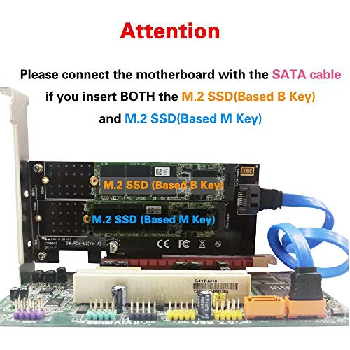 image for QNINE Dual M.2 PCIe Adapter, M.2 NVME SSD M Key or M.2 SATA SSD B Key 