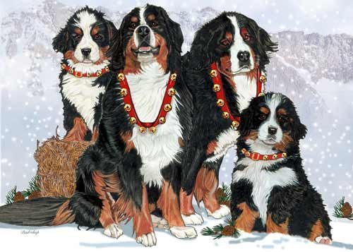 Bernese Mountain Dog Christmas Cards Entire Family : 10 Holiday Cards with Envelopes