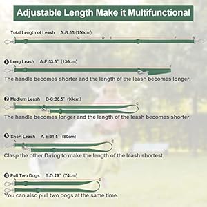 Waterproof dog leash standard dog leashes with 2 hooks for walking adjustable lengths for traffic control safety durable and odor proof for medium large dogs pine greens   cucciolini doodles