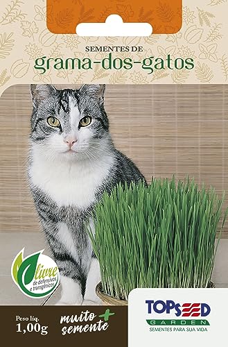 2700 Sementes Catnips Erva Gatos Grama Gatos 2 pct de Cada