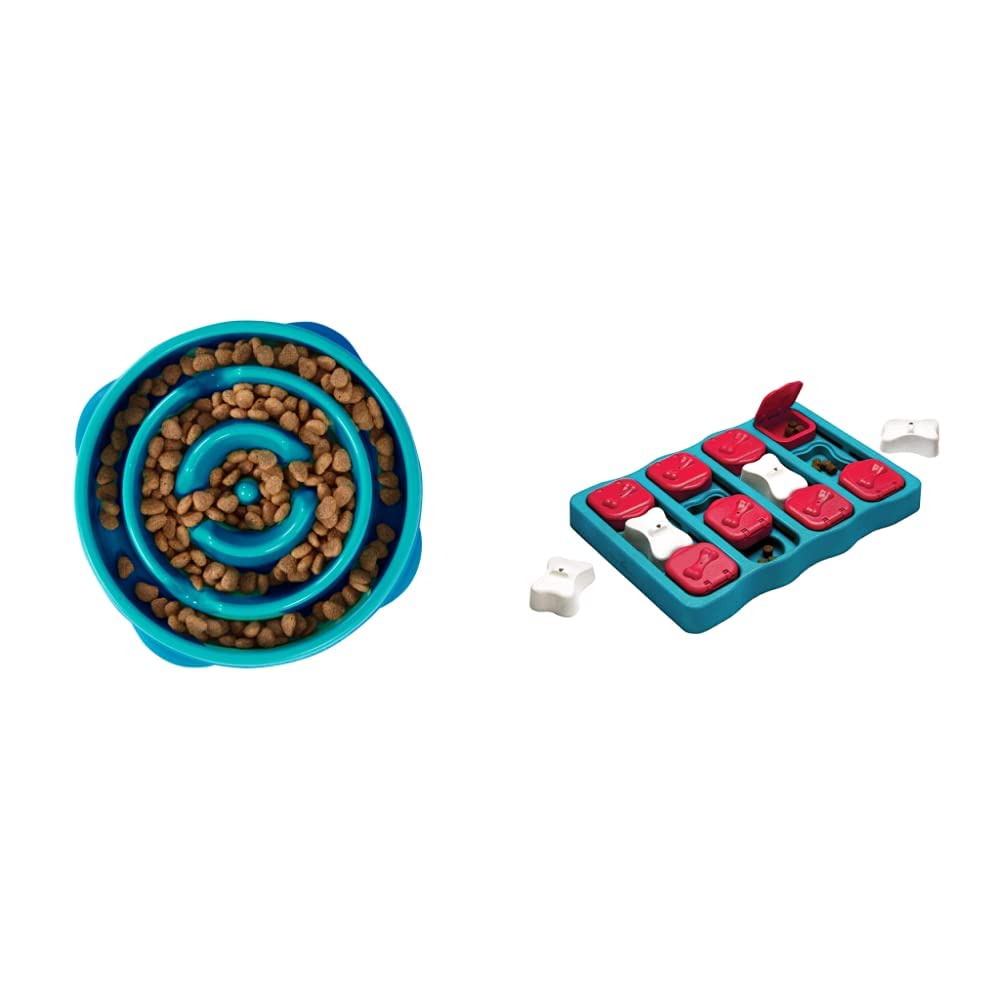 Fun Feeder Slo Bowl, Slow Feeder Dog Bowl, Medium/Mini, Turquoise & Outward Hound Dog Bri…