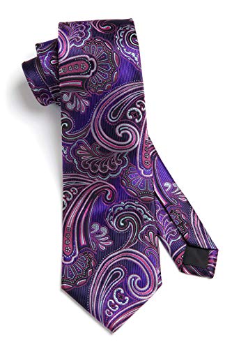 Image of HISDERN Ties for Men Paisley Tie and Pocket Square Woven Classic Floral Mens Ties Handkerchief Set Wedding Party Necktie