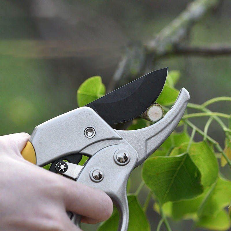 Image of HUPLA Heavy Duty Ratchet Pruning Shears for Gardening | Sharp SK5 Steel Blade, Anti-Rust, Ergonomic Handle | Hand Pruner for Branch, Stem, Tree Cutting | Bypass Secateur Cutter for Plants