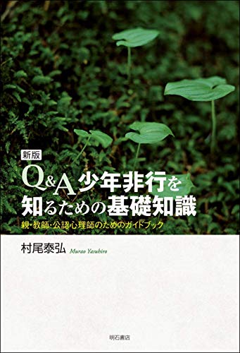 新版　Q&A　少年非行を知るための基礎知識――親・教師・公認心理師のためのガイドブック