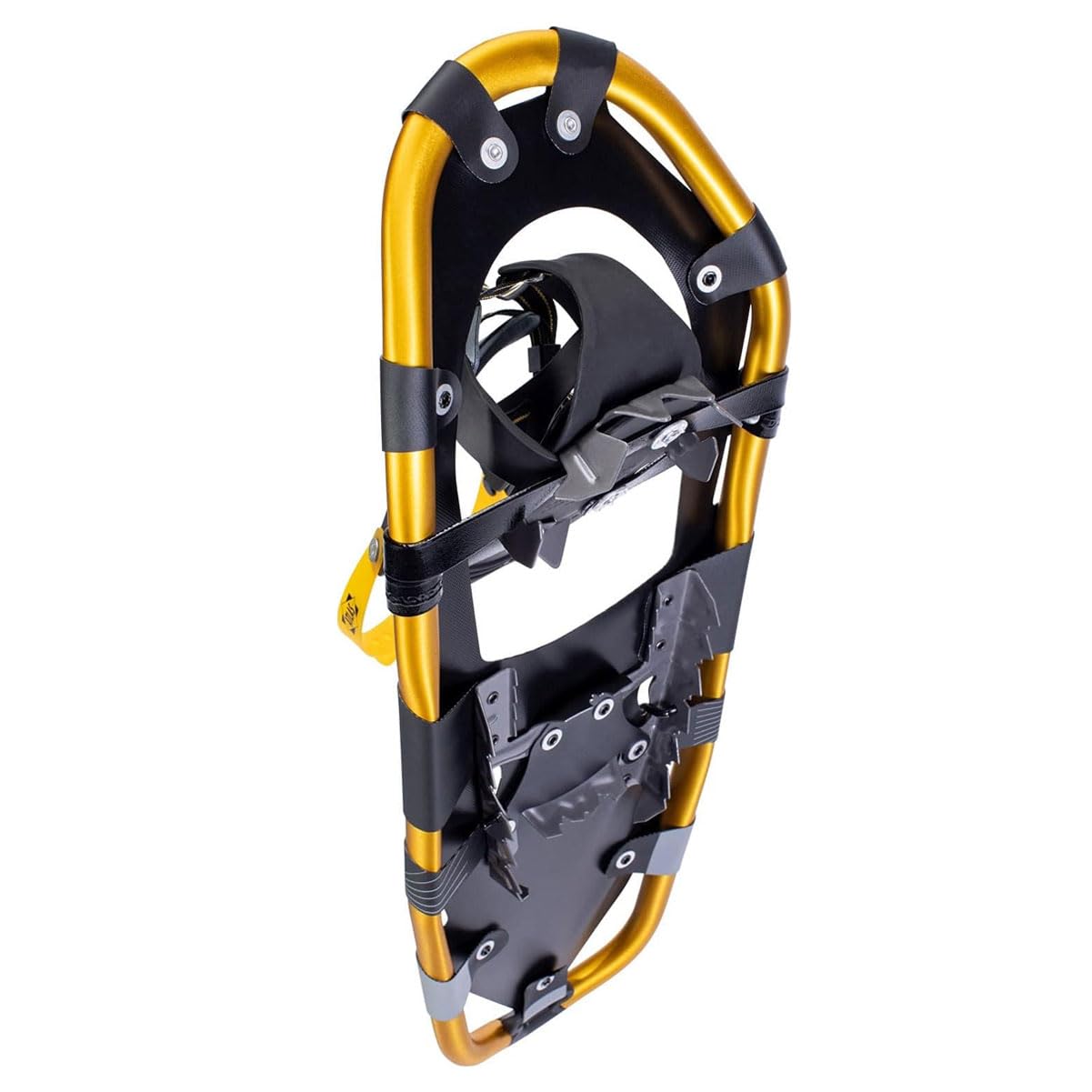 Atlas 16E0001 Montane Raquettes à Neige Mixte Adulte Gris Jaune 64