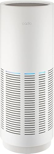 yXgAF5Nۏؕtz cadoiJh\jLEAF 320 (zCgjC@ [J[2Nۏ؁{3Nۏ ԕ΍  ECX΍ EL nEX_Xg ق