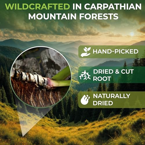 Image of 4 oz. Calamus Root Herbal Tea (Acorus Calamus) - 113g Calamus Herb Root Tea Raiz De Calamo