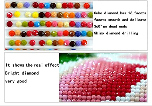 Blxecky DIY 5D Diamante Pittura Punto Croce Ricamo...