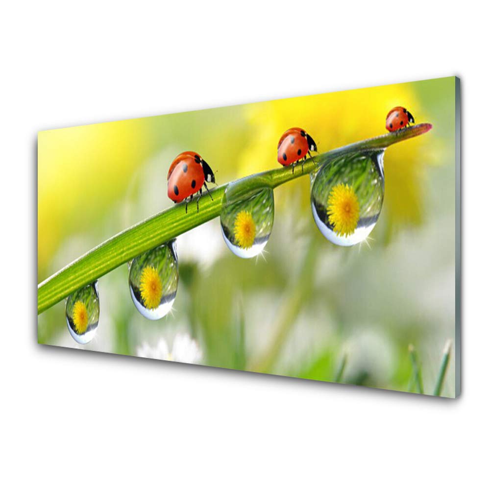 Tulup Impression sur Verre de 125x50 cm - Image - Tableau - Photo décorative panoramique - Art Pierres Bougies Fleurs