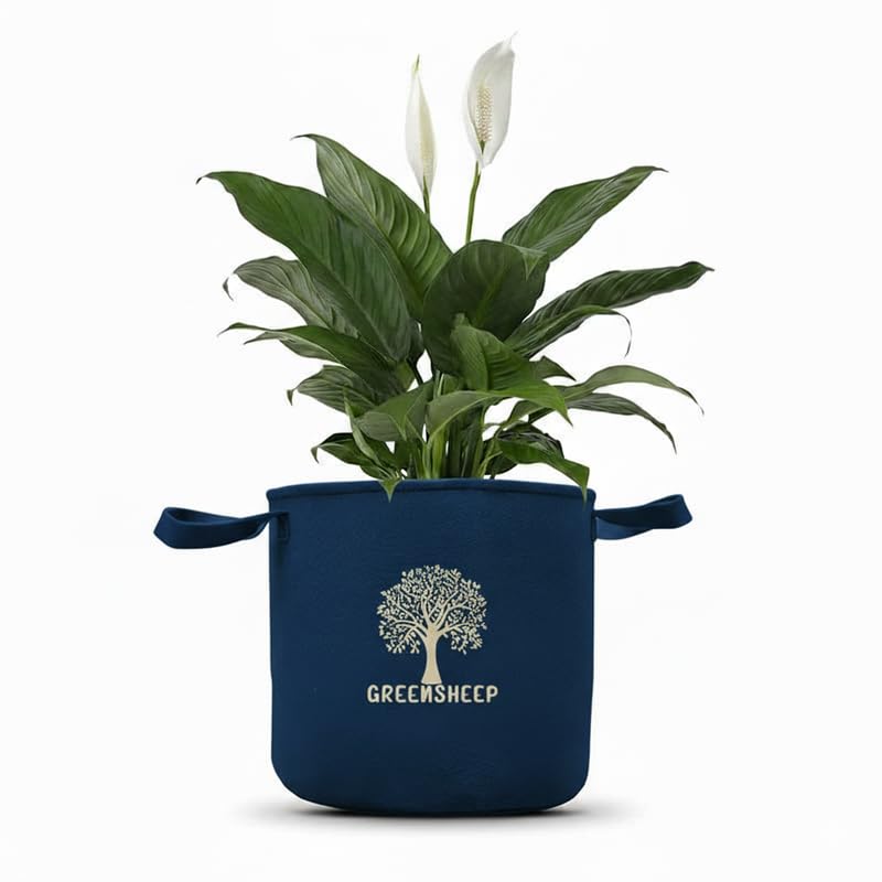 Image of GREENSHEEP Geo Fabric Grow Bags for Terrace Gardening, Balcony, Vegetables, Plants, Fruits and Flower with Handles - Breathable and Reusable Plant Bags for Indoor (Blue) (Pack of 3) (Size-6x3)