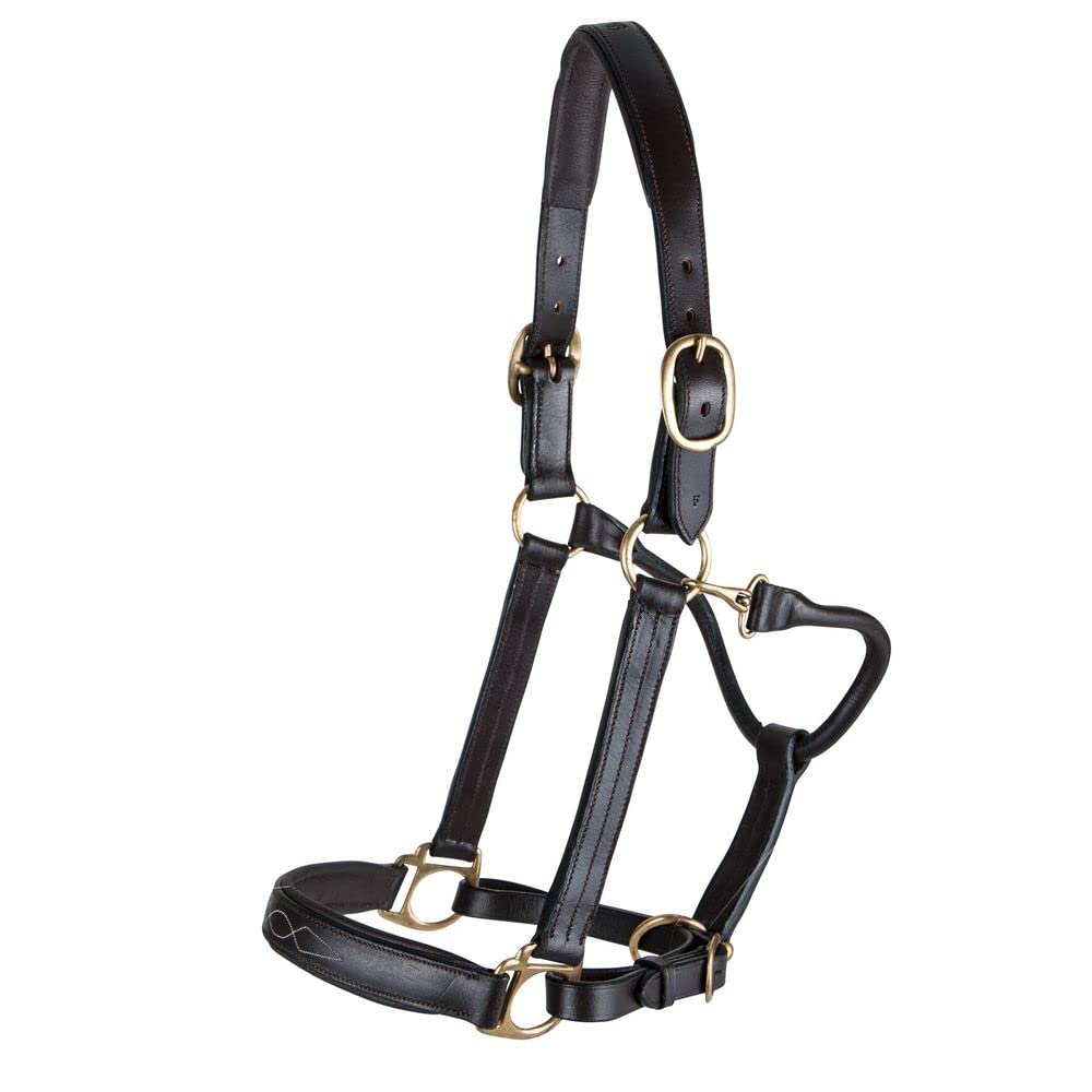 Schneiders Premier Dorchester Padded Leather Halter for Horses | Fancy Stitch Detailing | Soft Buffalo Leather | Padded for Comfort | Size Cob