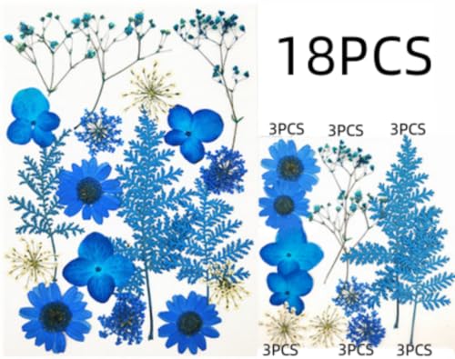 Pétalos y hojas secas prensadas multicolor para manualidades miniatura 2