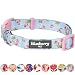 Blueberry Pet 11 Patterns Spring Scent Inspired Rose Blossom Floral Print Pastel Blue Adjustable Dog Collar, Small, Neck 12"-16"