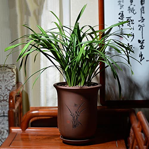 Pot de fleur en céramique de Chinoiserie rétro avec plateau inclus - 5