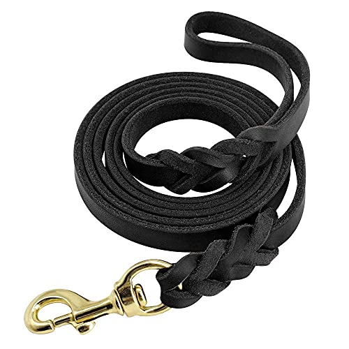 RvPaws Handmade Braided Padded Leather Dog Leash, Dog Training Leather Leash (5 Feet x 1/2 inch, Color May Vary) (B09GKSCYDP) Amazon Price History, Amazon Price Tracker