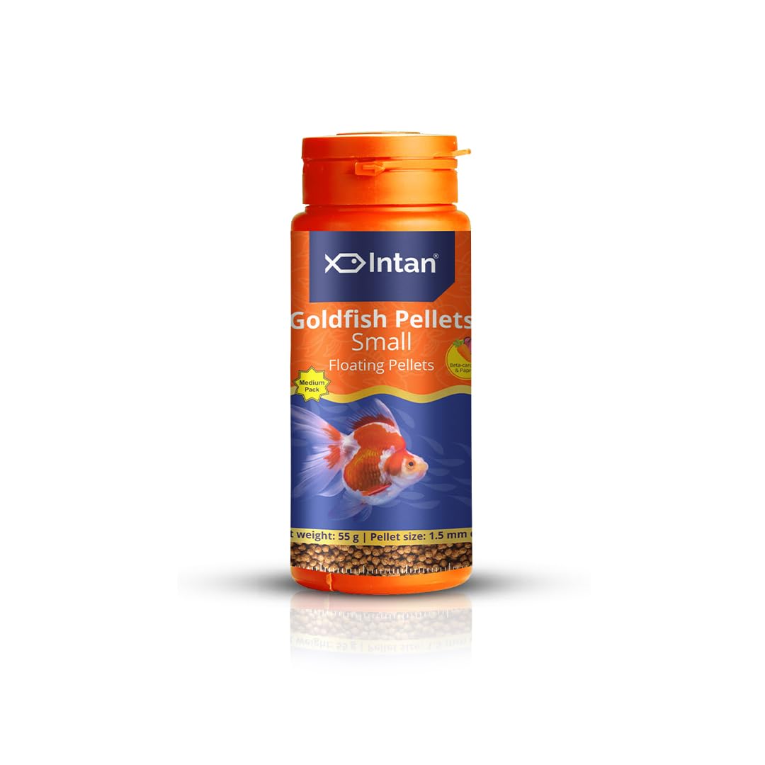 See full amazon price history chart for Growel Intan Goldfish Pellets (Small 1.5mm Floating) | 55gm - Highly Nutritious Ornamental Fish Food for All Goldfish - Ryukin, Red Cap, Ranchu & Lionhead Growel Intan Goldfish Pellets (Small 1.5mm Floating) | 55gm - Highly Nutritious Ornamental Fish Food for All Goldfish - Ryukin, Red Cap, Ranchu & Lionhead (B0CVB2YS97) Amazon Price History, Amazon Price Tracker