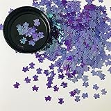 10 Grams/Pack - Sea Turtle Shape Glitter - Festival Rave Beauty Makeup Face Body Nail Art Decoration