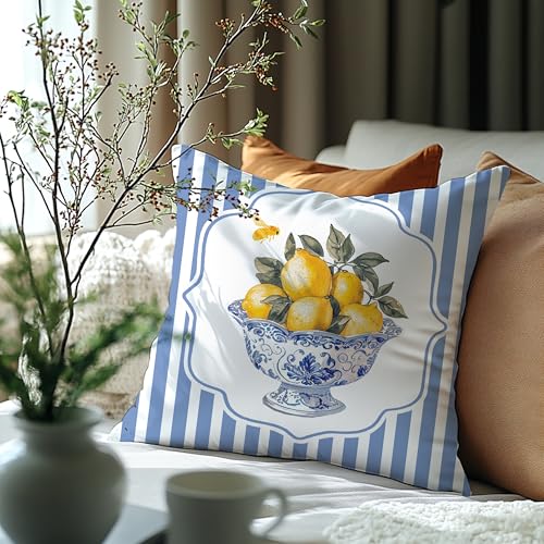 Image of Chinoiserie Lemon Summer Pillow Cover 18x18,French Country Lemon Home Decor,Farmhouse Blue and White Striped Fruit Botanical Decorative Lumber Throw Pillow Cover for Home Bedroom Living Room