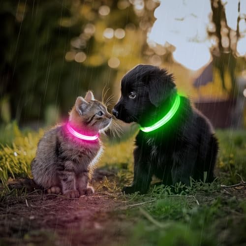 Kpuplol Light Up Dog Collar, Led Dog Collar USB Rechargeable Waterproof - Image 3