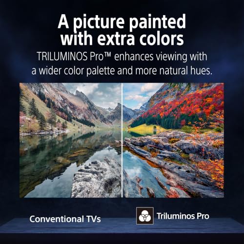 Sony BRAVIA 6 OLED 65-Inch TV