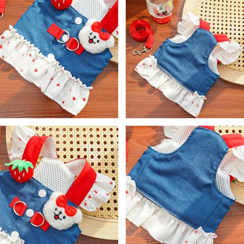 Disfraz cachorro vestido verano denim fresa con correa miniatura 5