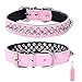 Rachel Pet Products Rivet Spiked Studded Genuine Leather Dog Collar for Small or Medium Pet, Pink, S