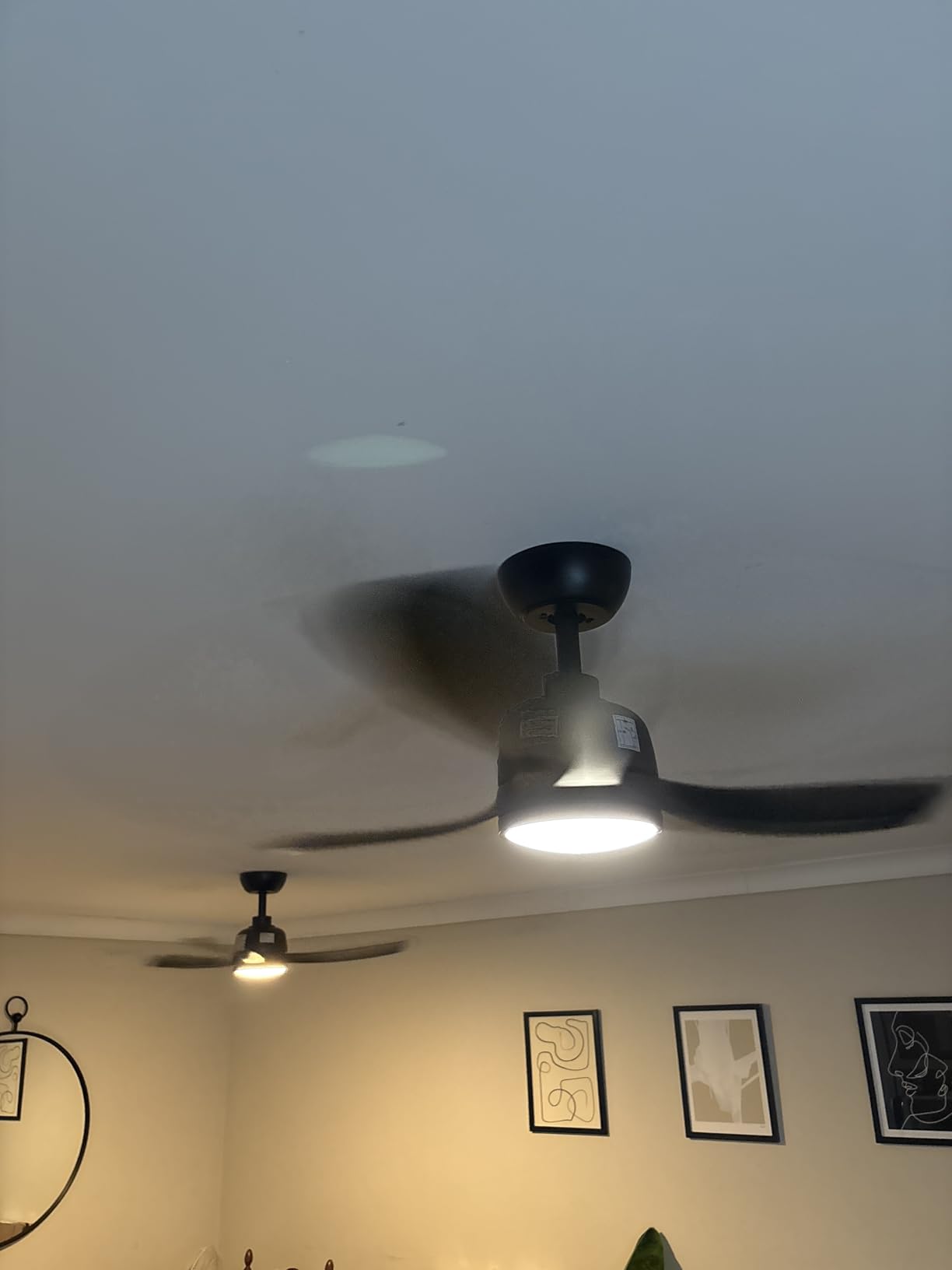 Customer photo