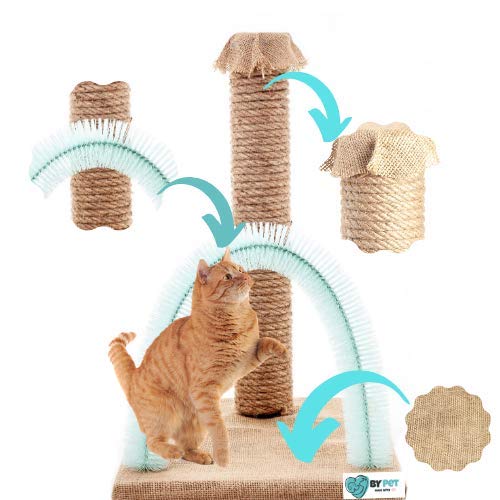 BY PET Kedi Kaşıma Ve Tırmalama Tahtası (Mavi)