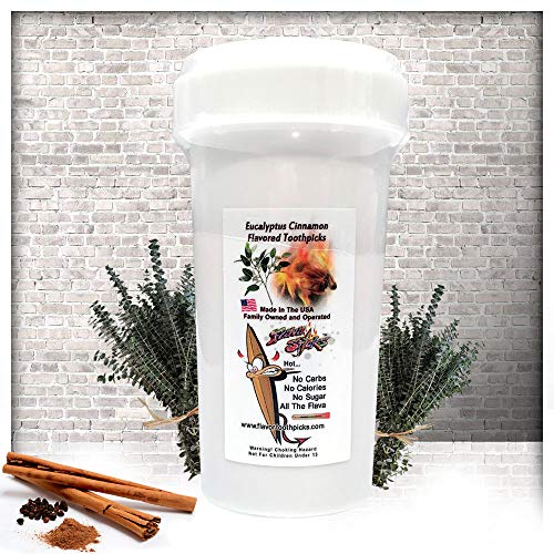 350 Count Eucalyptus Cinnamon Flavored Toothpicks with Reusable Plastic Pop Top-FBA