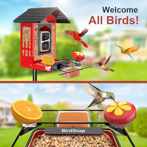 Image of birdsnap APS Metal Bird Feeder with Camera Solar 2K Video with 32GB Card