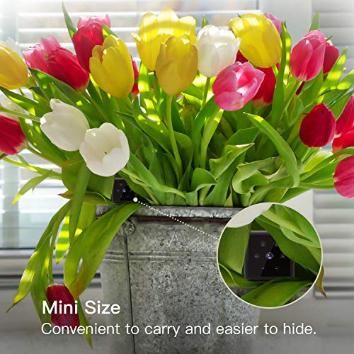 Periféricos, Camera pluma camara Marca Hertekdo (2)