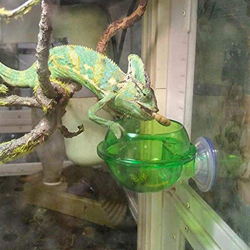 Tfwadmx Chameleon Bowl, Reptile Feeding Feeder,Worm Live Fodder Container, Water Dish Gecko Ledge Suction Cup Feeder… - Image 6