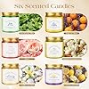 Bougies parfumées en pot | Lot de 6 * 101.4g de bougies parfumées cadeau pour femmes, bougies de soja pour aromathérapie et relaxation | Bougies de Noël avec une durée de combustion de 150 heures |