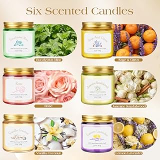 Bougies parfumées en pot | Lot de 6 * 101.4g de bougies parfumées cadeau pour femmes, bougies de soja pour aromathérapie et relaxation | Bougies de Noël avec une durée de combustion de 150 heures |