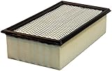 Luber-finer LAF9096 Heavy Duty Air Filter