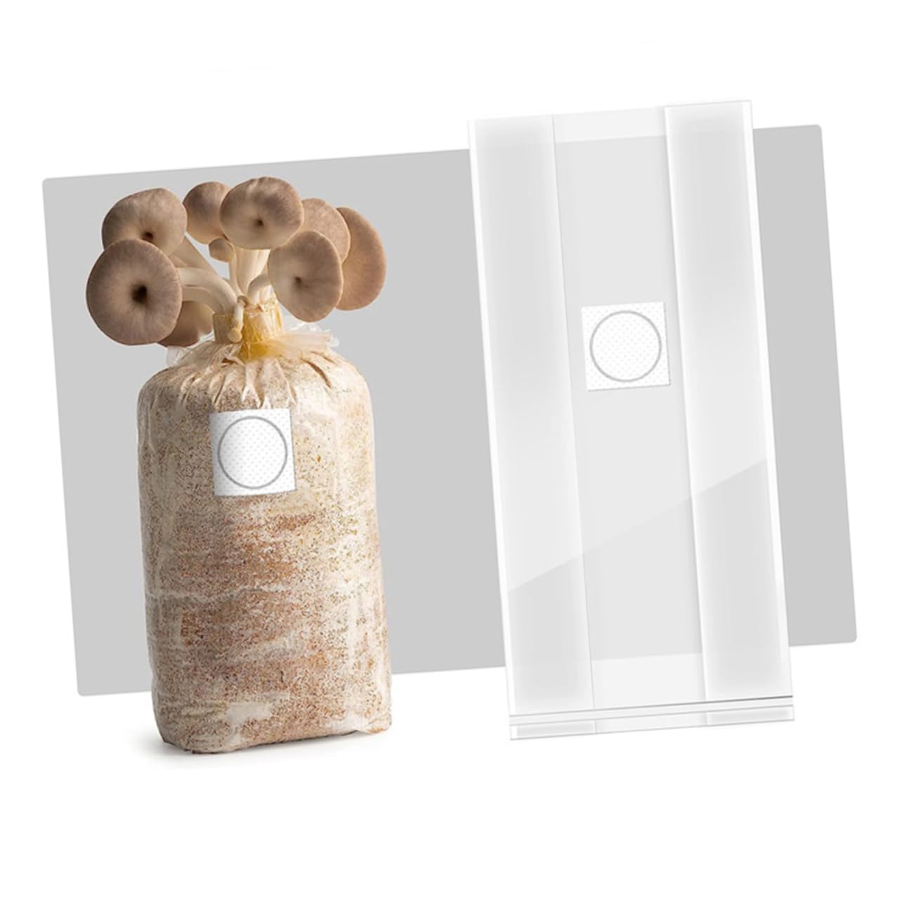50pezzi Sacchetti Per Coltivazione Funghi Design Compatto e Facile Da Usare Per Giardinaggio Indoor e Laboratori Materiale Traspirante Con Filtro