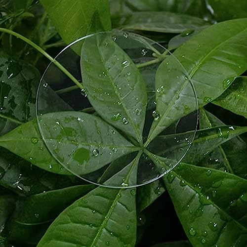 TSKDKIT 20cm Acrylic Discs Sheet Clear Plastic Discs Sheet Round Discs Sheets for Cake Topper Christmas Decor, Craft DIY, Printing etc - Image 3