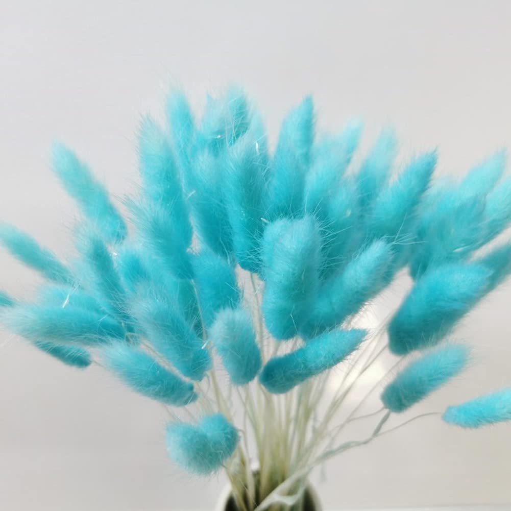 60 Pz Autunno Fiori Secchi Coda di Coniglio Fiori Secchi Lagurus...60/120 pezzi di fiori secchi di code di coniglio Lagurus ovatus,...120 Pezzi di Fiori Secchi Autunnali Code di Coniglio Fiori Secchi