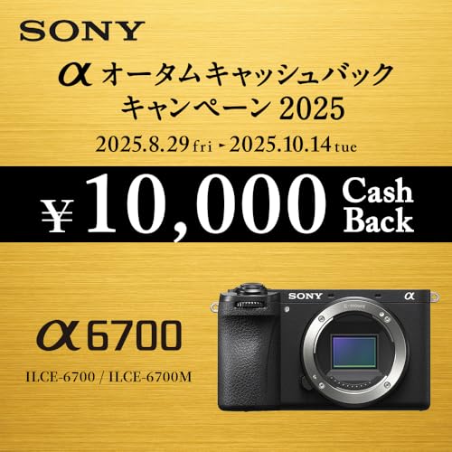 ソニー(SONY) α6700 ボディ ILCE-6700 の商品画像 1