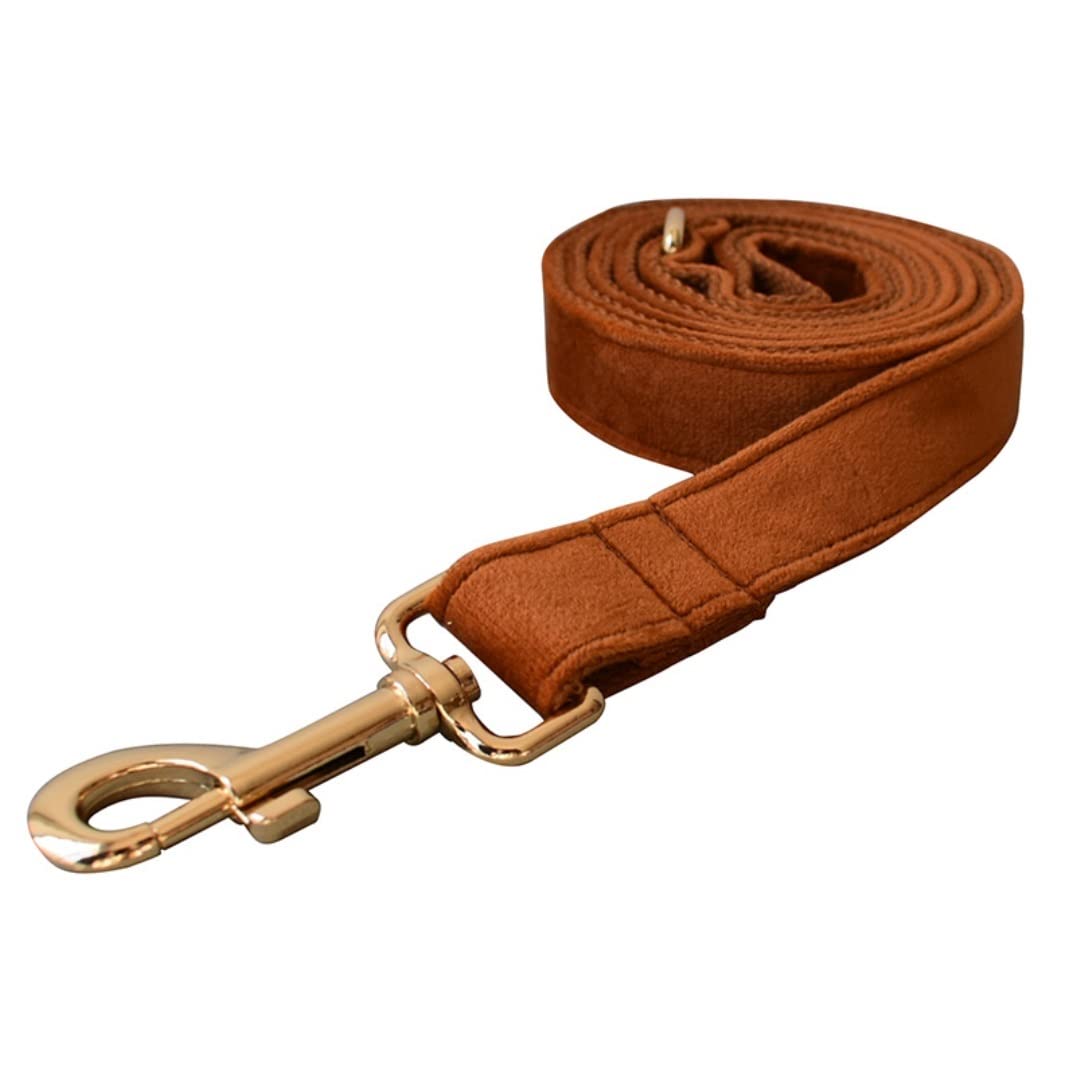Guinzaglio Per Cani Guinzaglio Per Cani Con Fibbia In Oro Collare Con Collo Per Animali Domestici Set Di Sicurezza Con Fibbia In Lega Per L'allenamento Quotidiano All'aperto Guinzaglio Per Cani Regola