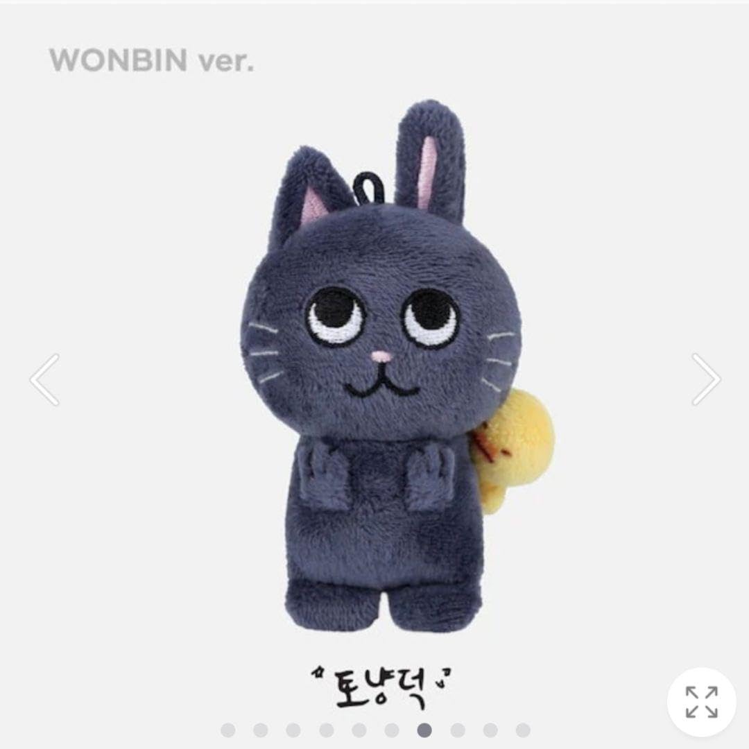 RIIZE ウォンビン セット Amazon.co.jp: RIIZE ウォンビン ?? ?? マスター ぬいぐるみ