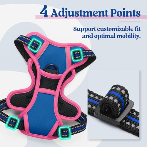 Image of rabbitgoo Dog Harness No Pull with 2 Leash Clips, Adjustable Soft Padded, Reflective Oxford No Choke Pet Vest with Easy Control Handle for Large Dogs, Blue & Hot Pink, XS