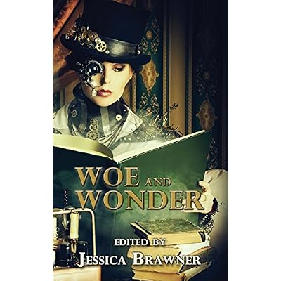 Woe and Wonder: 2016 Story of the Month Club Anthology