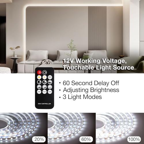 Tira LED tunable 20ft y tira blanca 40ft miniatura 6