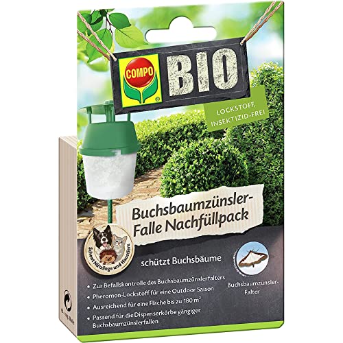 Preisvergleich Produktbild COMPO Buchsbaumzünsler-Falle Nachfüllpack, 3 Stück, Insektizid-frei