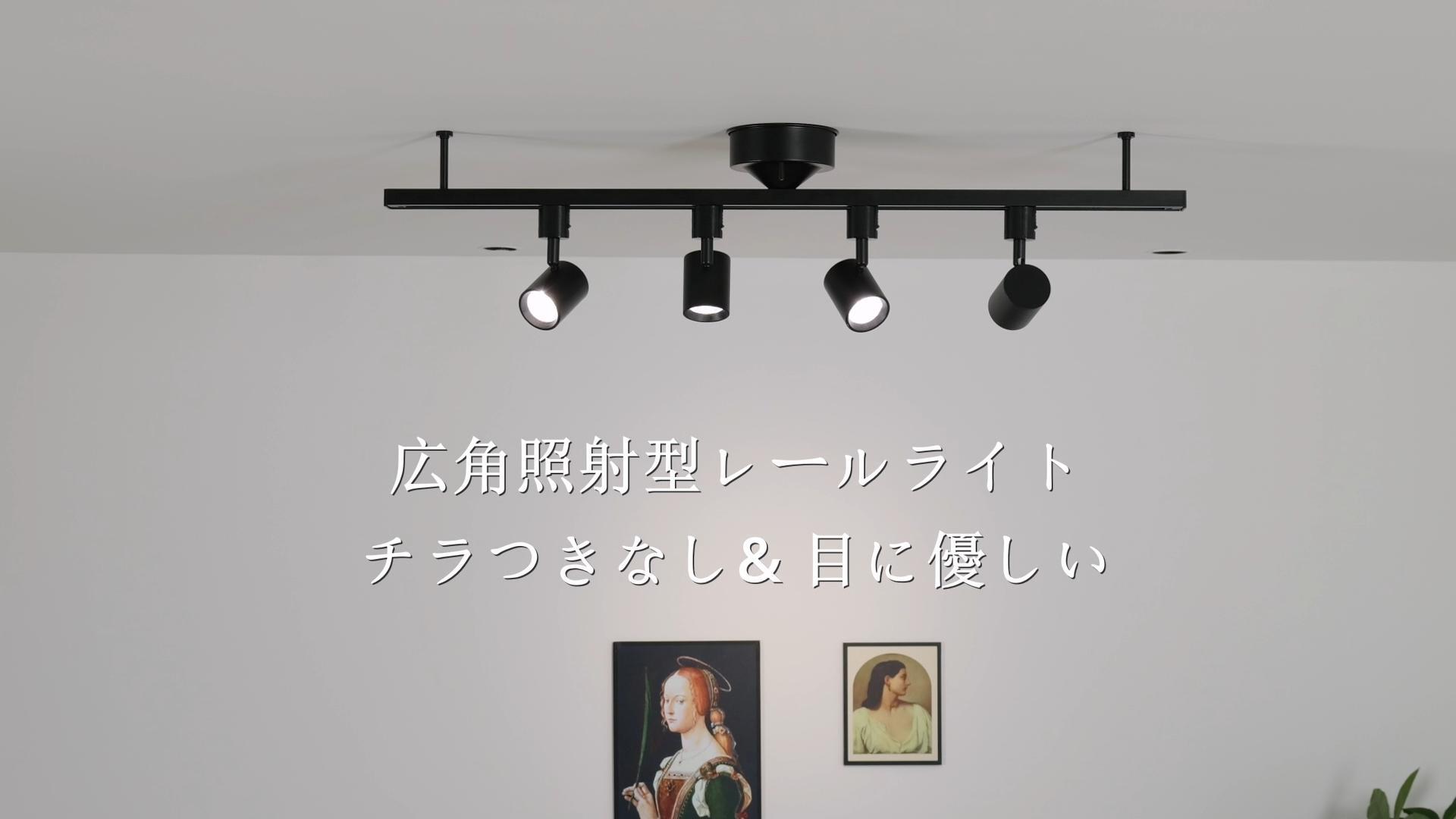 Amazon.co.jp : TuyuBEE 無段階調光調色可能 ダクトレール スポット