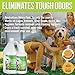 Arkwright Tough Stuff Kennel and Turf Wash - All-Purpose Cleaner Concentrate, Instantly Removes Pet Odors, Hose Attachment for Easy Dilution, Safe for Pets & Turf, 1 Gallon Refill