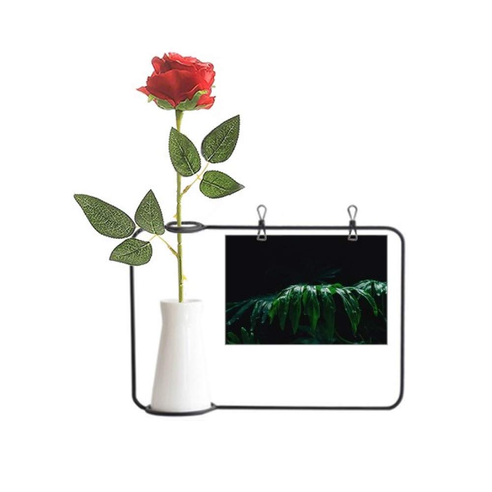 Fleur artificielle rose en vase bouteille pour fleurir les pièces sans lumière