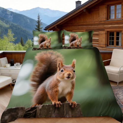 Housse de couette écureuil 200x200 parure de lit microfibre animaux mignons